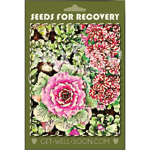 seed packet for recovery